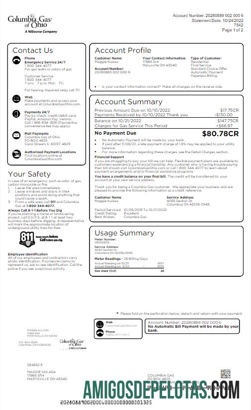 Em branco modelo Word e PDF de conta de serviços públicos EUA COLUMBIA GAS OF OHIO